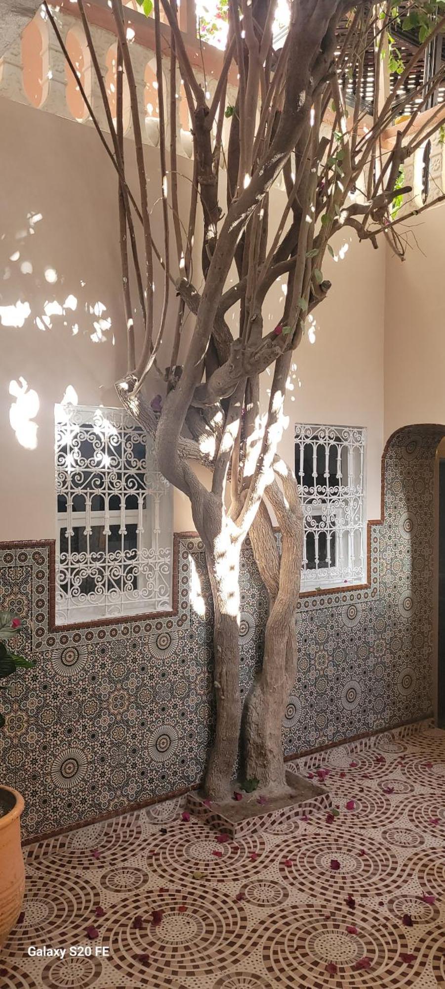 Surf Riad タガズー エクステリア 写真