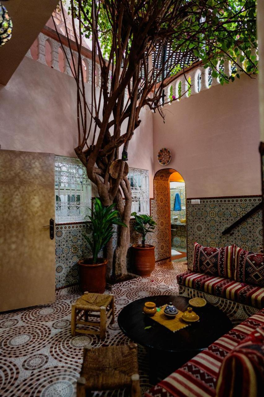 Surf Riad タガズー エクステリア 写真